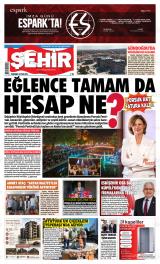 ŞEHİR GAZETESİ