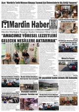 MARDİN HABER