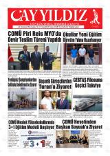 AYYILDIZ