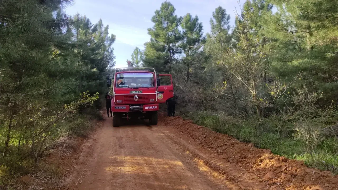 ORHANGAZİ’DE KORKUTAN ORMAN YANGINI !