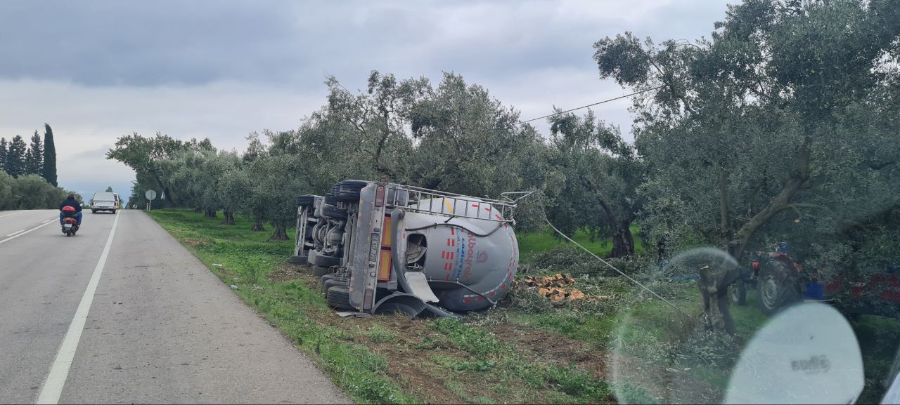 Çimento yüklü tanker zeytin bahçesine devrildi !