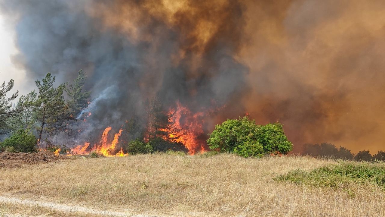 Yenişehir’de Orman Yangını Korkuttu